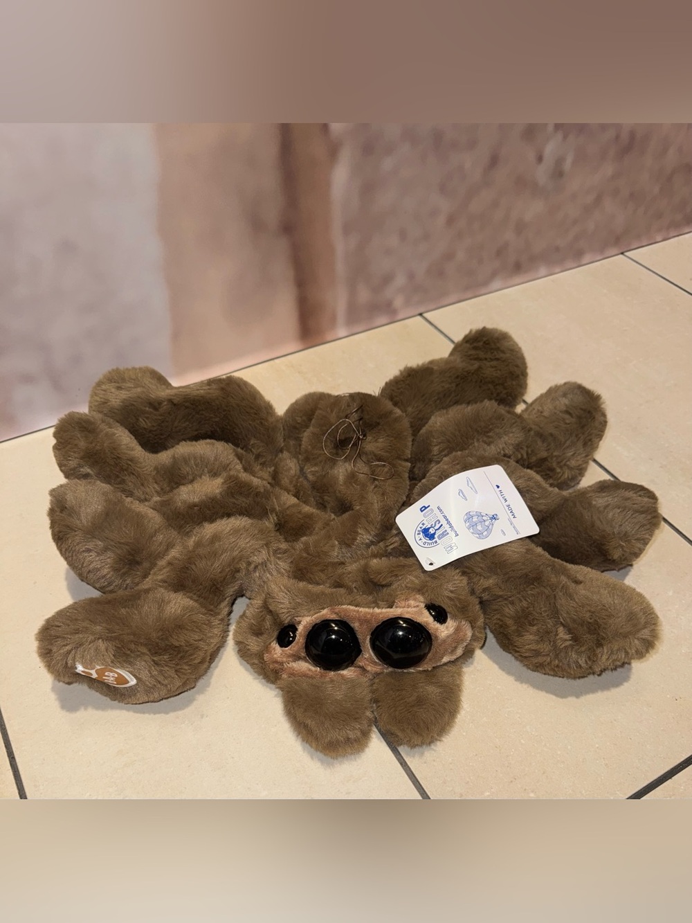 Build A Bear Jumping Spider